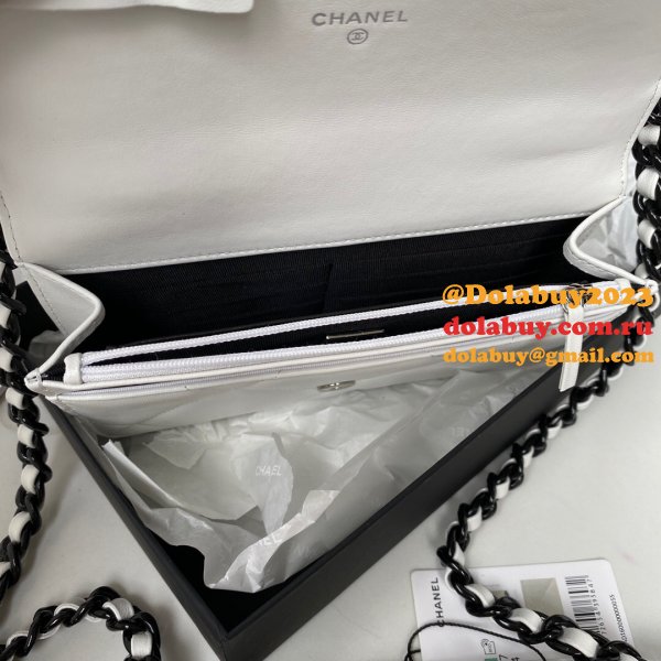 Best Quality Replica New WOC AP0957 19 Wallet Chain Glossy Calfskin Bag