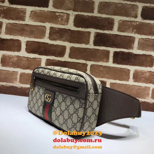 7 Star Gucci GG Belt Supreme Ophidia Bags for Men