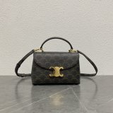 Luxury celine TRIOMPHE 20CM kelly BAG 118113